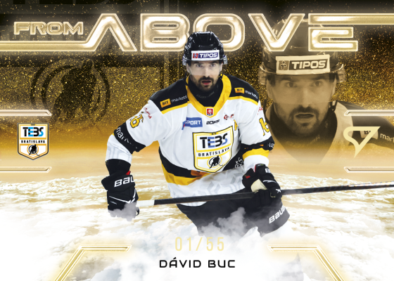 Buc Dávid 25-26 Slovenská hokejová liga From Above Gold #FA-15