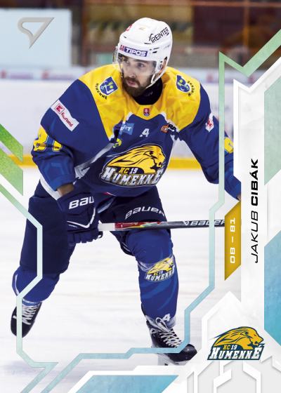 Cibák Jakub 25-26 Slovenská hokejová liga Silver #50