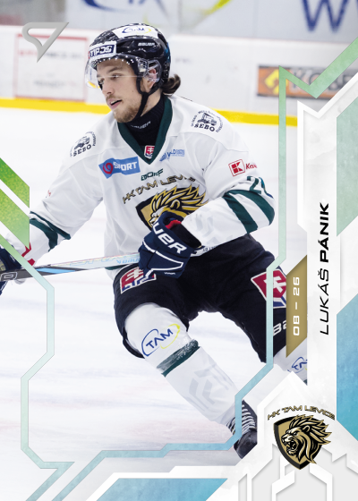 Pánik Lukáš 25-26 Slovenská hokejová liga Silver #77