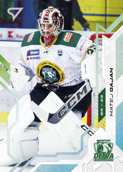 Gajan Matej 25-26 Slovenská hokejová liga Silver #85