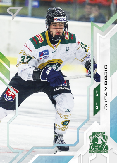 Dobiš Dušan 25-26 Slovenská hokejová liga Silver #89