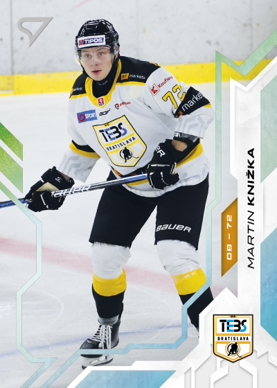 Knižka Martin 25-26 Slovenská hokejová liga Silver #99