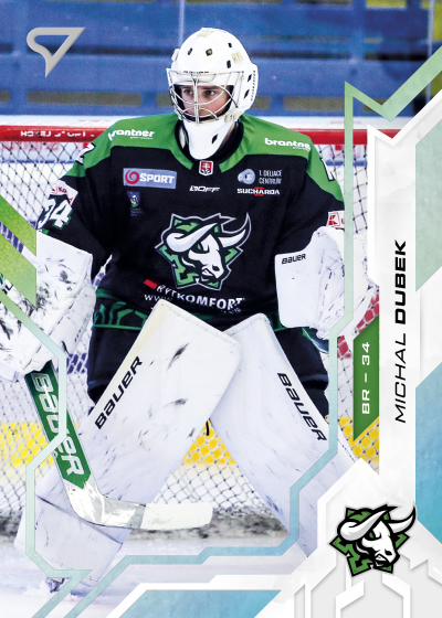 Dubek Michal 25-26 Slovenská hokejová liga Silver #118