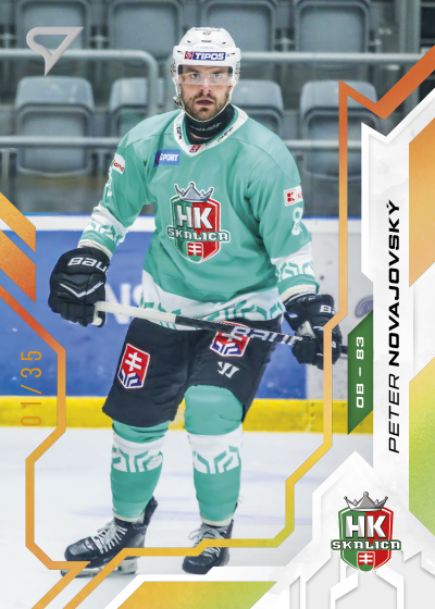 Novajovský Peter 25-26 Slovenská hokejová liga Gold #3
