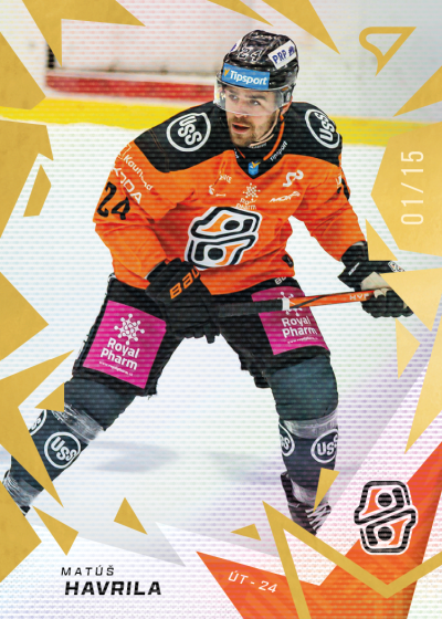 Havrila Matúš 25-26 Tipsport Liga Gold #9