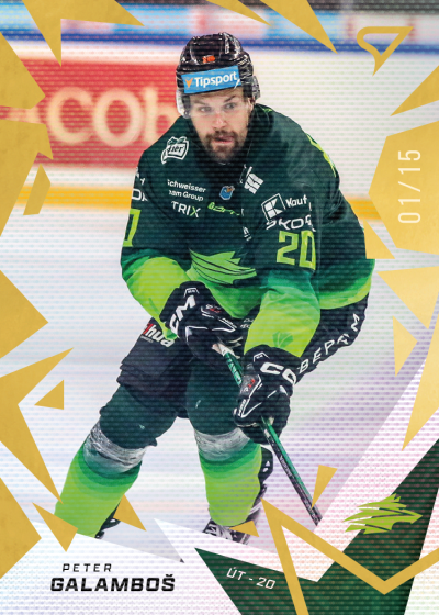Galamboš Peter 25-26 Tipsport Liga Gold #47