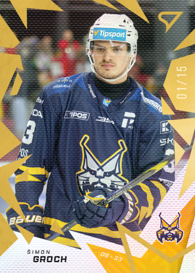 Groch Šimon 25-26 Tipsport Liga Gold #77