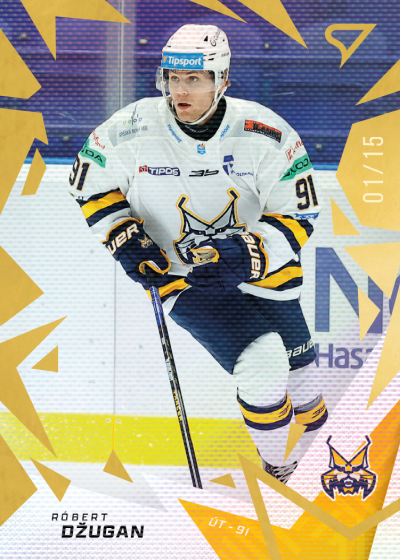 Džugan Róbert 25-26 Tipsport Liga Gold #84