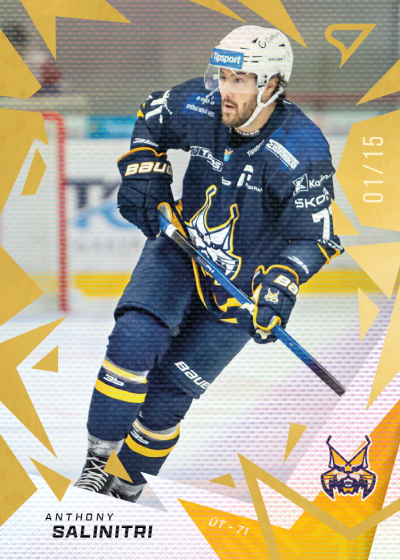 Salinitri Anthony 25-26 Tipsport Liga Gold #88