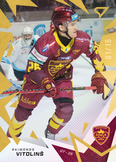 Vītoliņš Raimonds 25-26 Tipsport Liga Gold #143