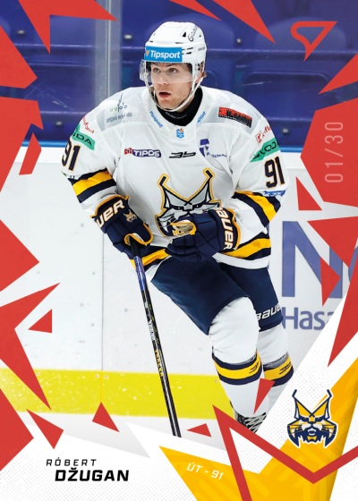 Džugan Róbert 25-26 Tipsport Liga Red #84