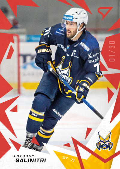 Salinitri Anthony 25-26 Tipsport Liga Red #88