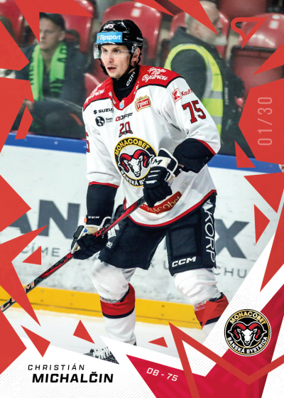 Michalčin Christián 25-26 Tipsport Liga Red #96