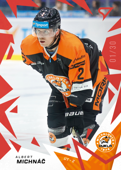 Michnáč Albert 25-26 Tipsport Liga Red #175