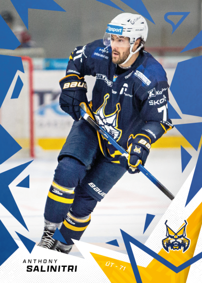 Salinitri Anthony 25-26 Tipsport Liga Blue #88