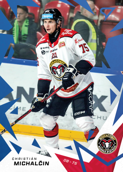 Michalčin Christián 25-26 Tipsport Liga Blue #96