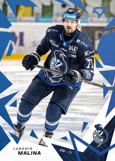 Malina Ľubomír 25-26 Tipsport Liga Blue #114