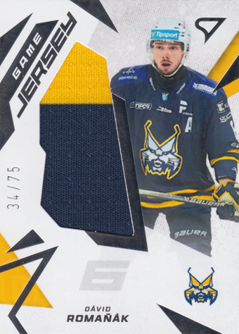 Romaňák Dávid 25-26 Tipsport Liga Game Jersey #GJ-DR