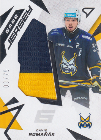 Romaňák Dávid 25-26 Tipsport Liga Game Jersey #GJ-DR