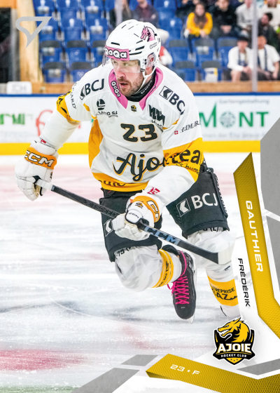 Gauthier Frédérik 25-26 National League #245