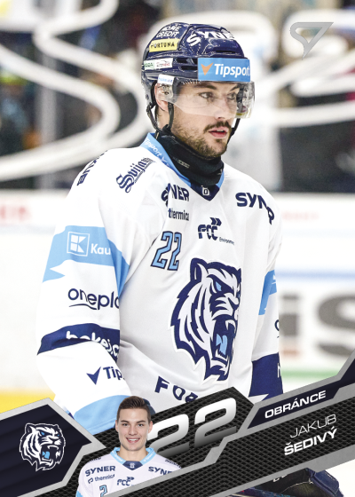 Šedivý Jakub 25-26 Tipsport Extraliga #333