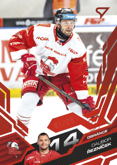 Řezníček Dalibor 25-26 Tipsport Extraliga Red #355