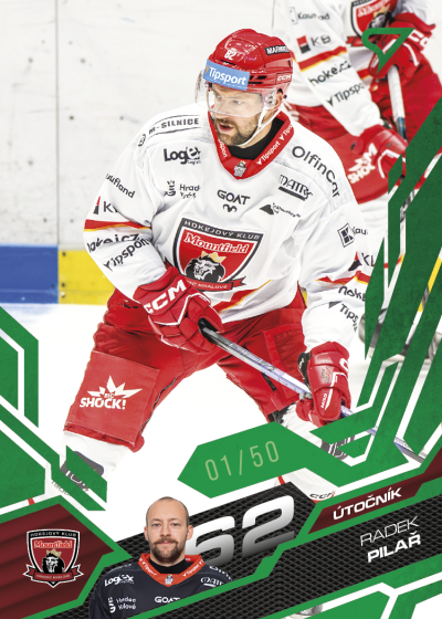 Pilař Radek 25-26 Tipsport Extraliga Green #285