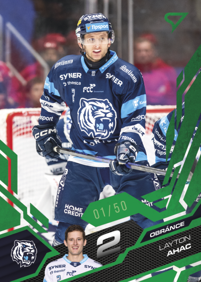 Ahac Layton 25-26 Tipsport Extraliga Green #331