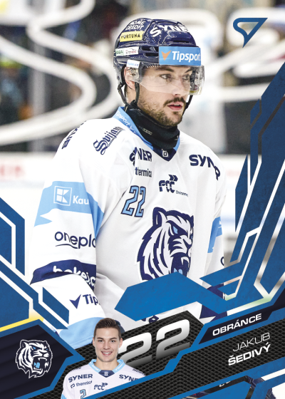 Šedivý Jakub 25-26 Tipsport Extraliga Blue #333