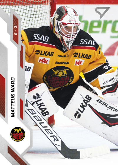 Ward Matteus 25-26 SHL #2