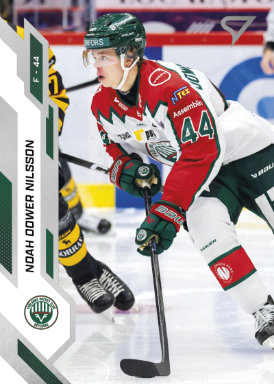 Dower-Nilsson Liam 25-26 SHL #45