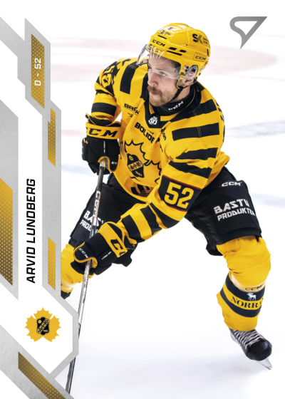Lundberg Arvid 25-26 SHL #60