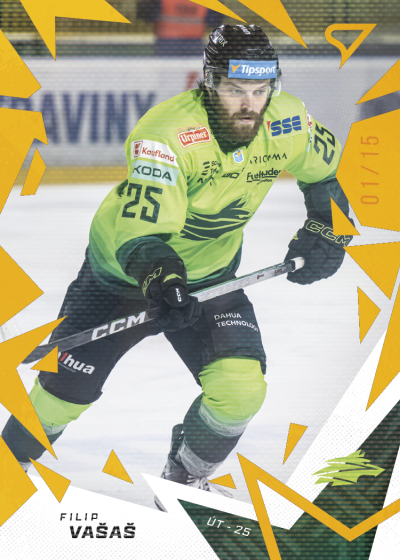 Vašaš Filip 25-26 Tipsport Liga Gold #243