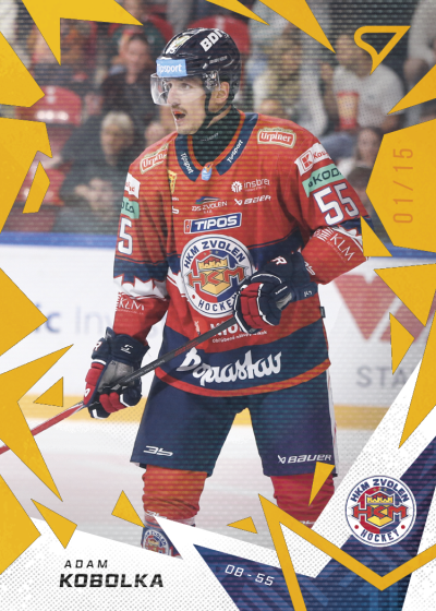 Kobolka Adam 25-26 Tipsport Liga Gold #246