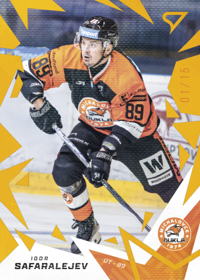 Safaraleyev Igor 25-26 Tipsport Liga Gold #302