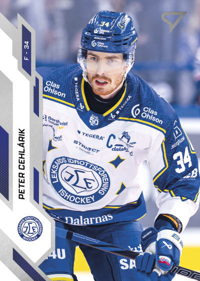 Cehlárik Peter 25-26 SHL #189