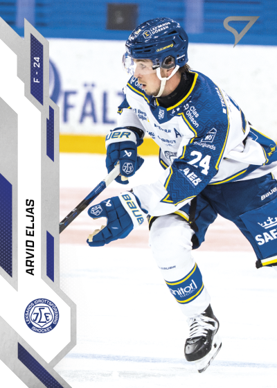 Eljas Arvid 25-26 SHL #190