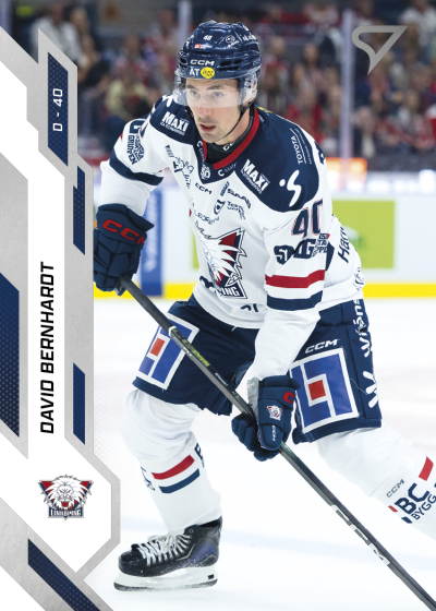 Bernhardt David 25-26 SHL #200
