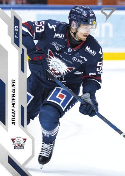 Hofbauer Adam 25-26 SHL #208