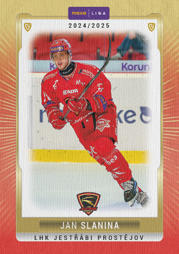 Slanina Jan 24-25 GOAL Cards Maxa liga Canvas #PRO-30