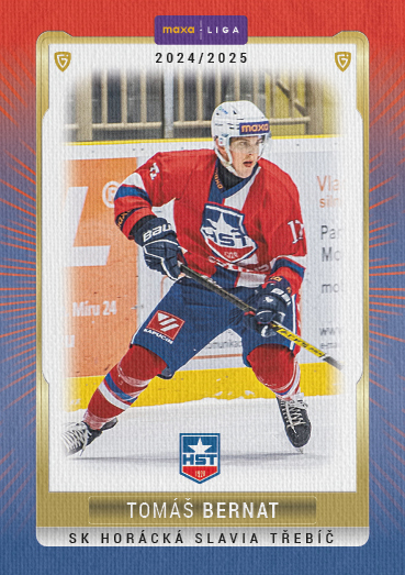 Bernat Tomáš 24-25 GOAL Cards Maxa liga Canvas #TRE-30