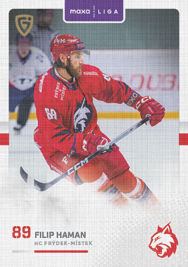 Haman Filip 25-26 GOAL Cards Maxa liga Canvas #FMI-03