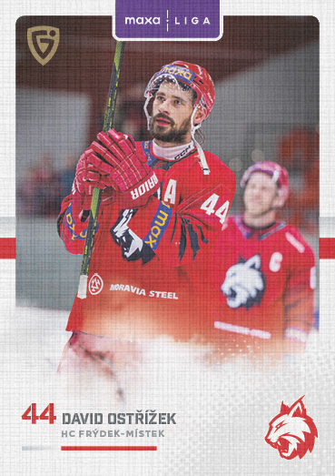 Ostřížek David 25-26 GOAL Cards Maxa liga Canvas #FMI-12
