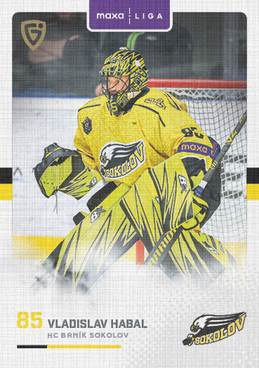 Habal Vladislav 25-26 GOAL Cards Maxa liga Canvas #SOK-01