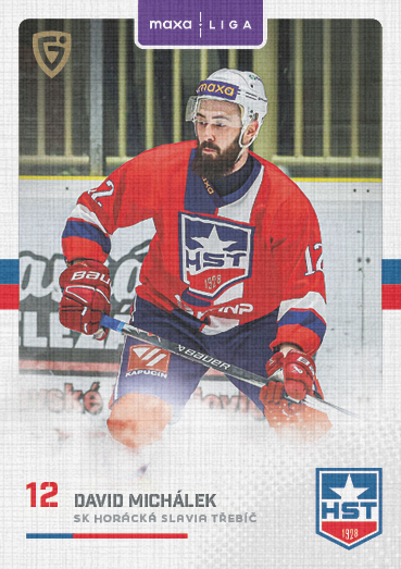 Michálek David 25-26 GOAL Cards Maxa liga Canvas #TRE-13