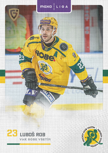 Rob Luboš 25-26 GOAL Cards Maxa liga Canvas #VSE-09