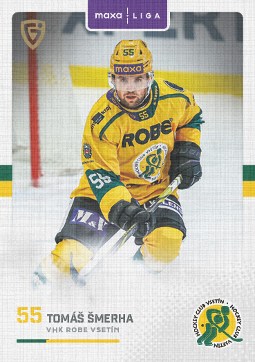 Šmerha Tomáš 25-26 GOAL Cards Maxa liga Canvas #VSE-12