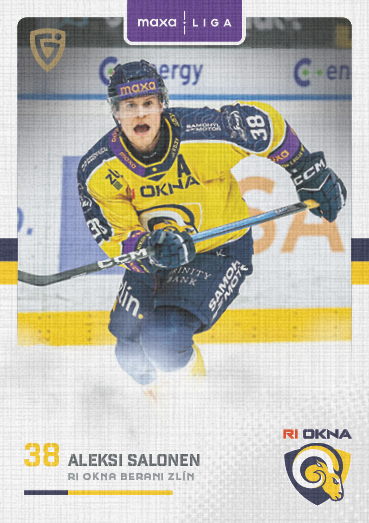 Salonen Aleksi 25-26 GOAL Cards Maxa liga Canvas #ZLI-03