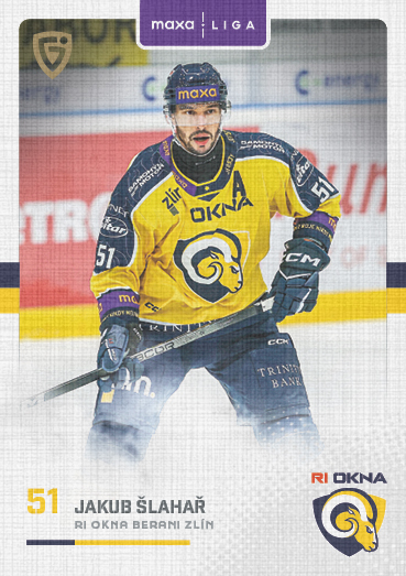 Šlahař Jakub 25-26 GOAL Cards Maxa liga Canvas #ZLI-12