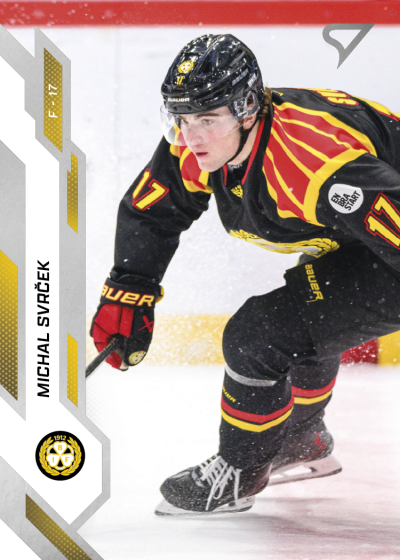 Svrček Michal 25-26 SHL #266